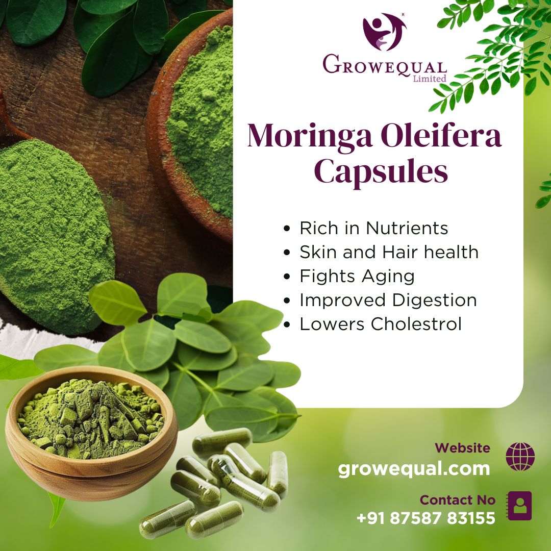 Health Benefits of Moringa Oleifera Capsules Today